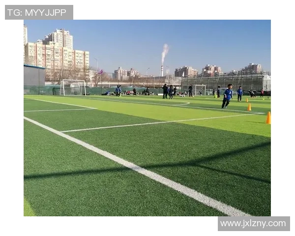 足球退役后的新人生探索与挑战：从绿茵场到人生舞台的转变与反思